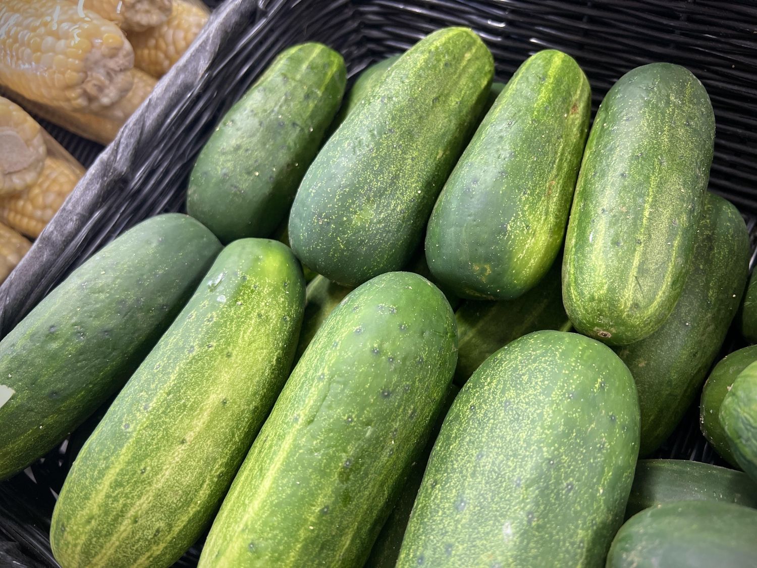Cucumber, Type: Pickling Cucumber