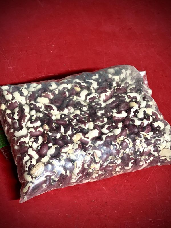 Dried Anasazi Beans