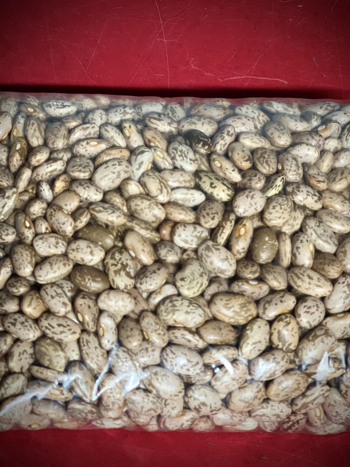 Dried Pinto Beans
