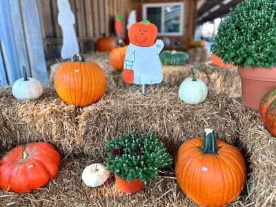 Fall Seasonal Items
