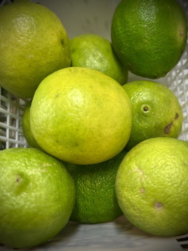 Limes
