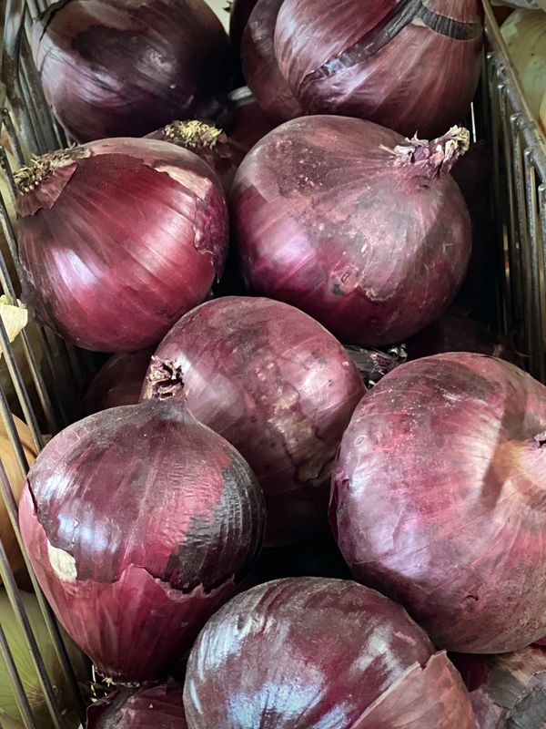 Onion