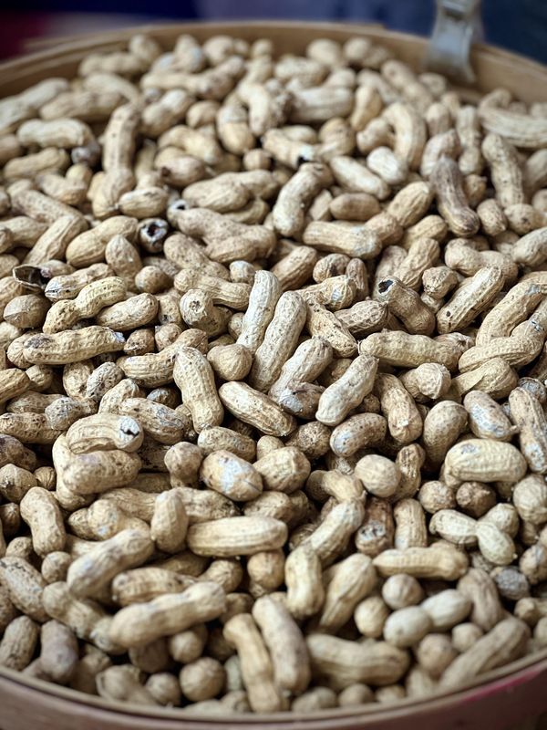 New Crop Dried Raw Peanuts