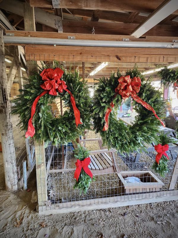 Christmas Wreaths