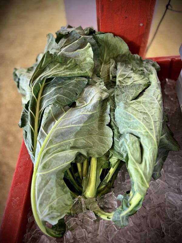 Collards