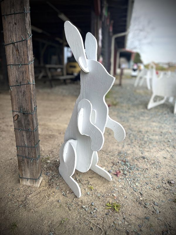 Decorative Cutouts