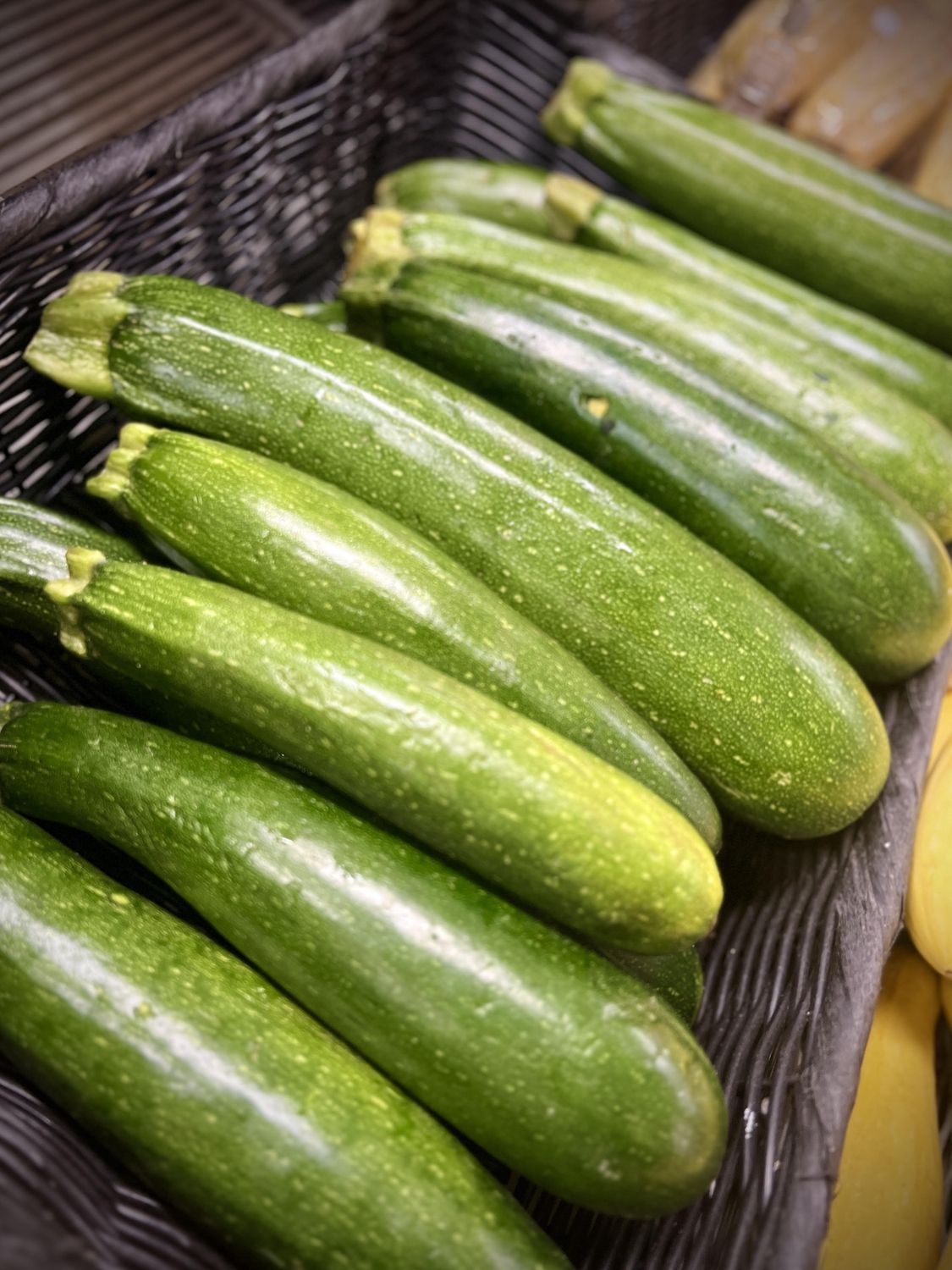 Zucchini, Size: Per LB