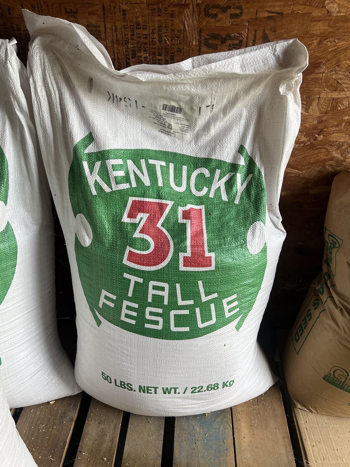 Kentucky 31
