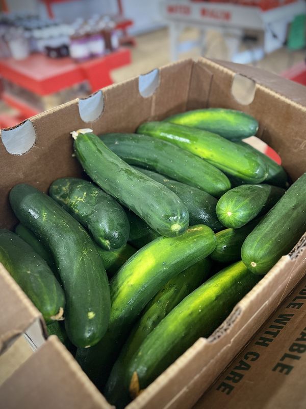 Box of Slicing Cucumber