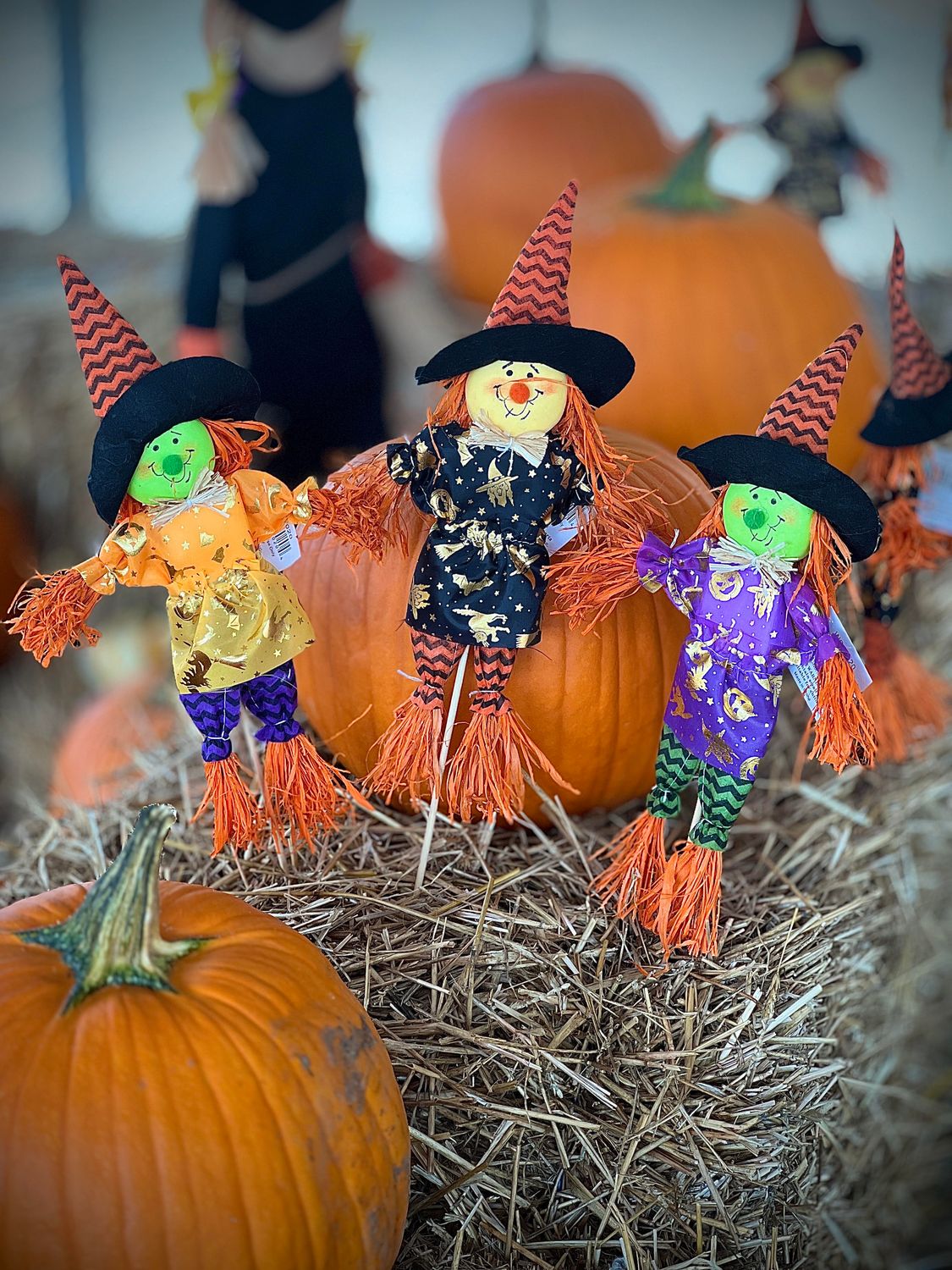 Scarecrows, Type: 20" Witch