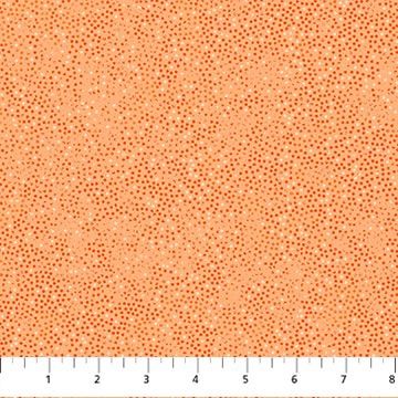 NC10451-57 Tonal Trios Apricot