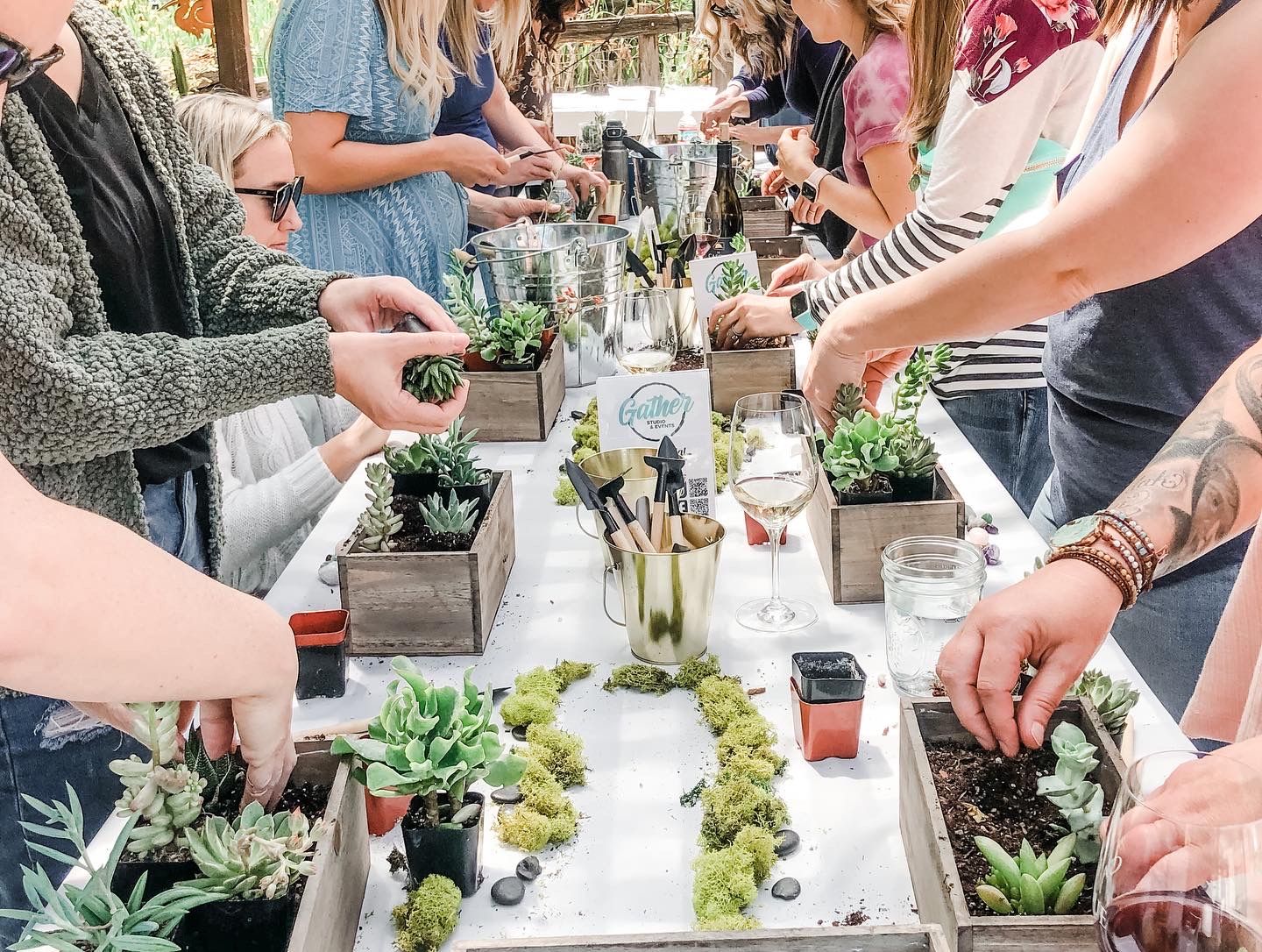 Succulent Garden Box Workshop 6/20 10:30am