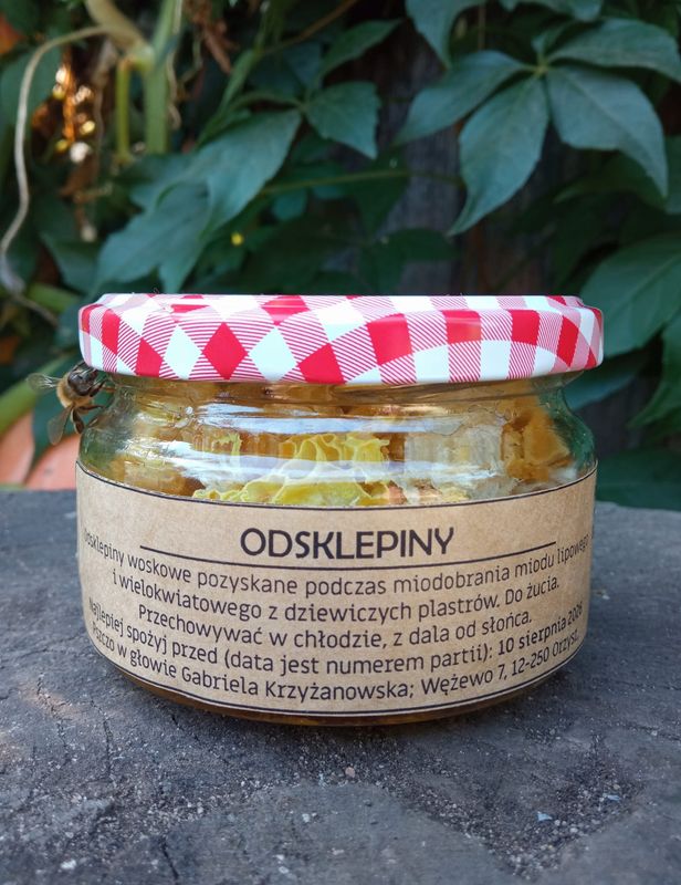 Odsklepiny