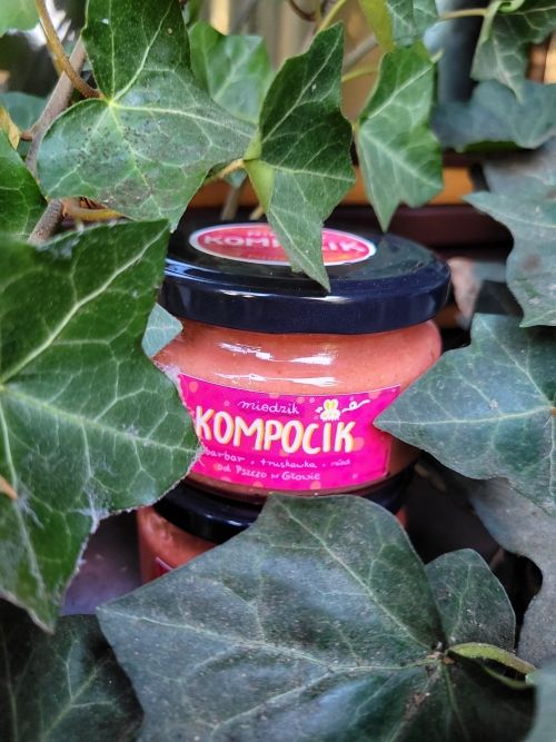 Miodzik Kompocik