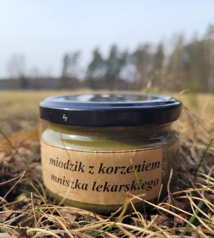 Miód z korzeniem mniszka lekarskiego