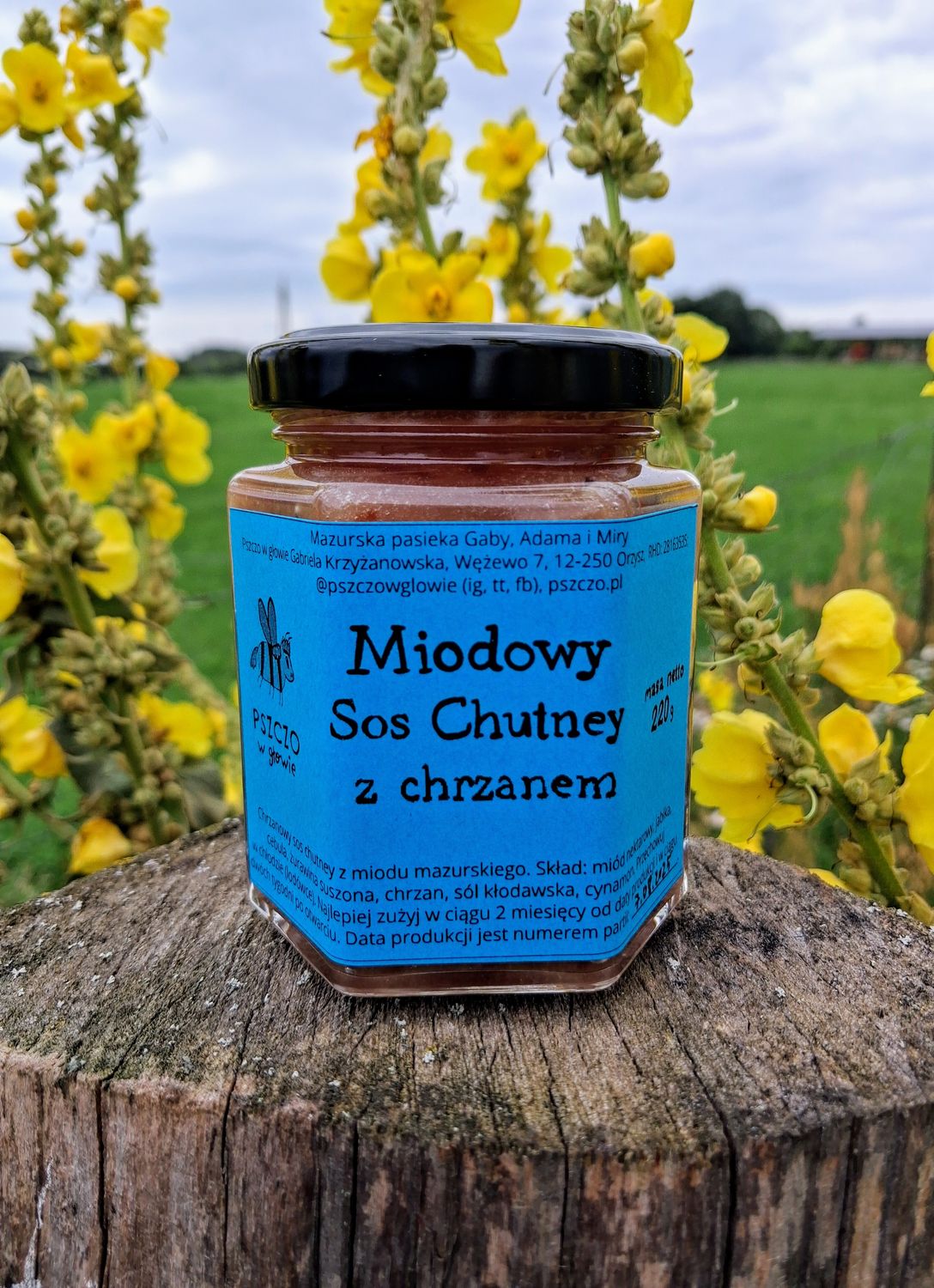 Miodowy Sos Chutney z chrzanem