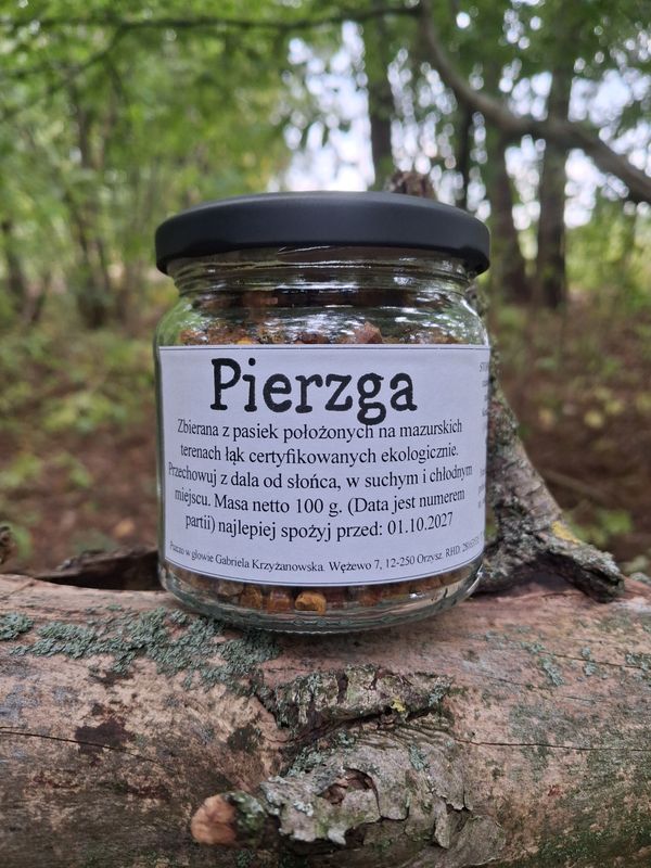 Pierzga