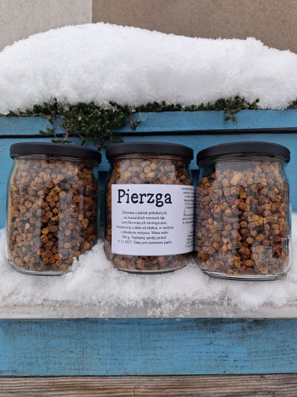 Pierzga