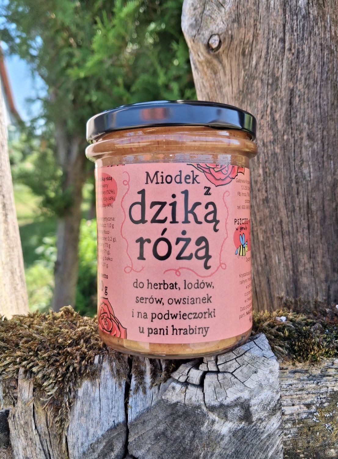 Dzika Róża