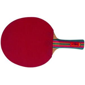 Skolesport bordtennis racket  sett på 30 stk