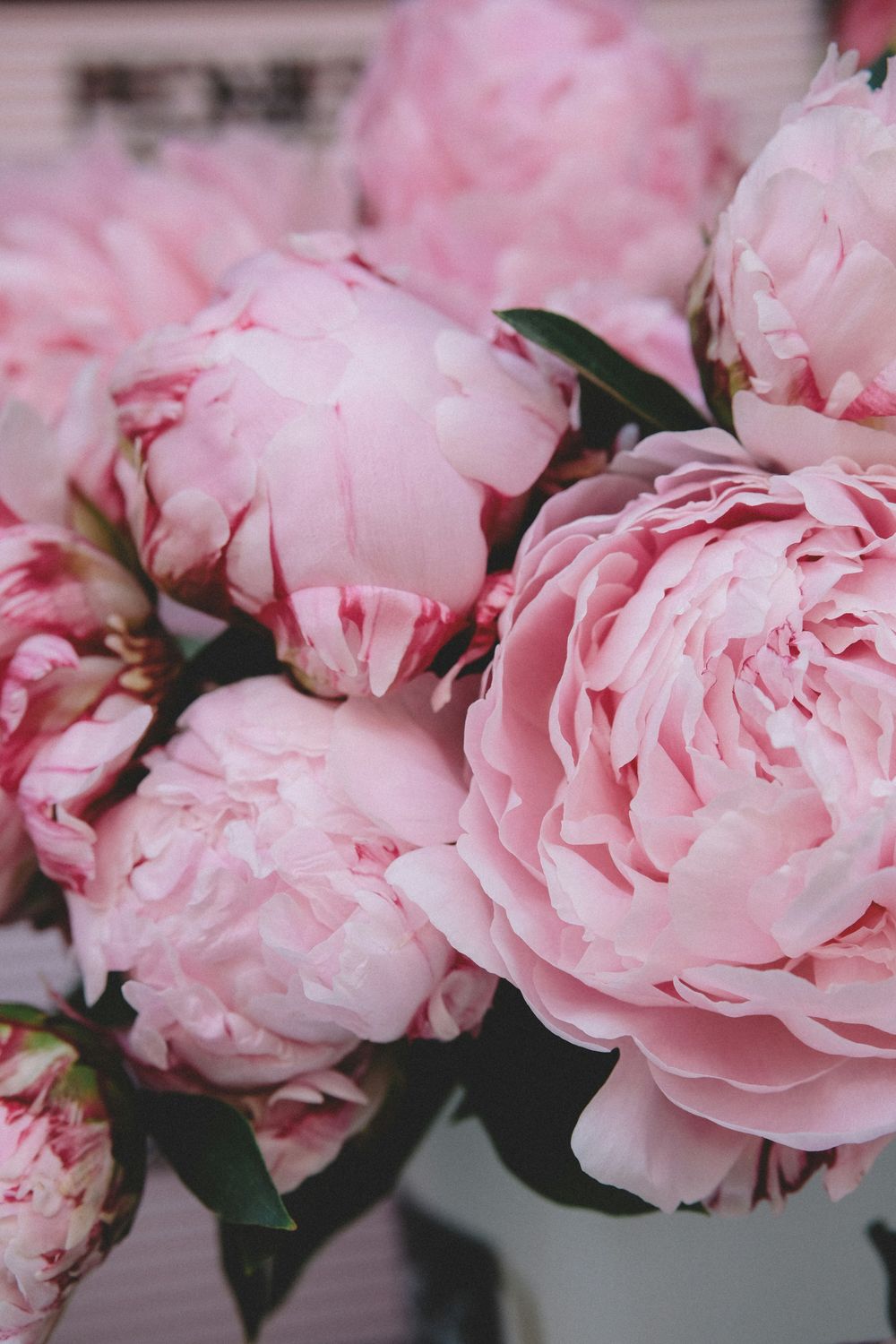 Paeonia &amp; Pink Rose Bouquet