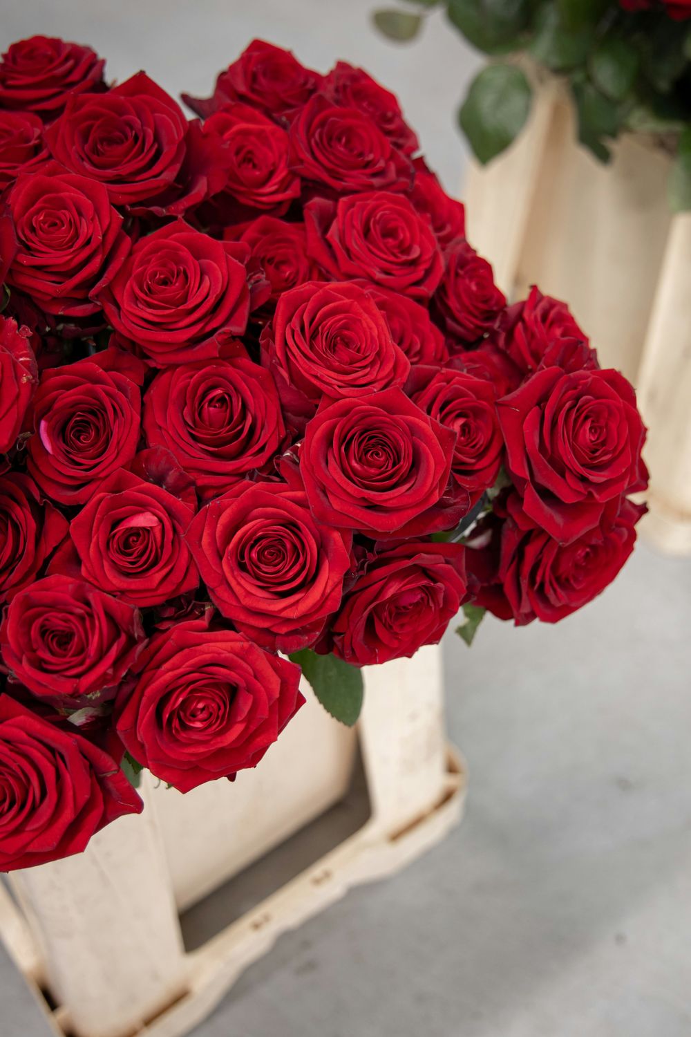 Red Rose Bouquet