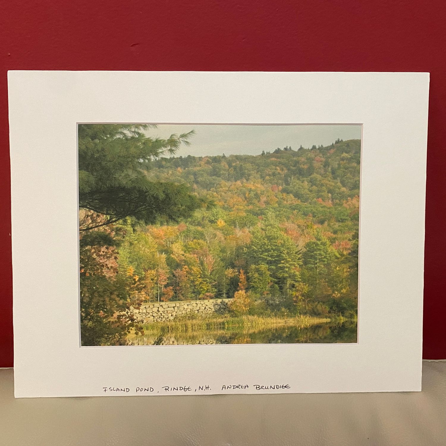 8&quot; x 10&quot; Photo Prints on Matte Paper with Mat &amp; Backing Board