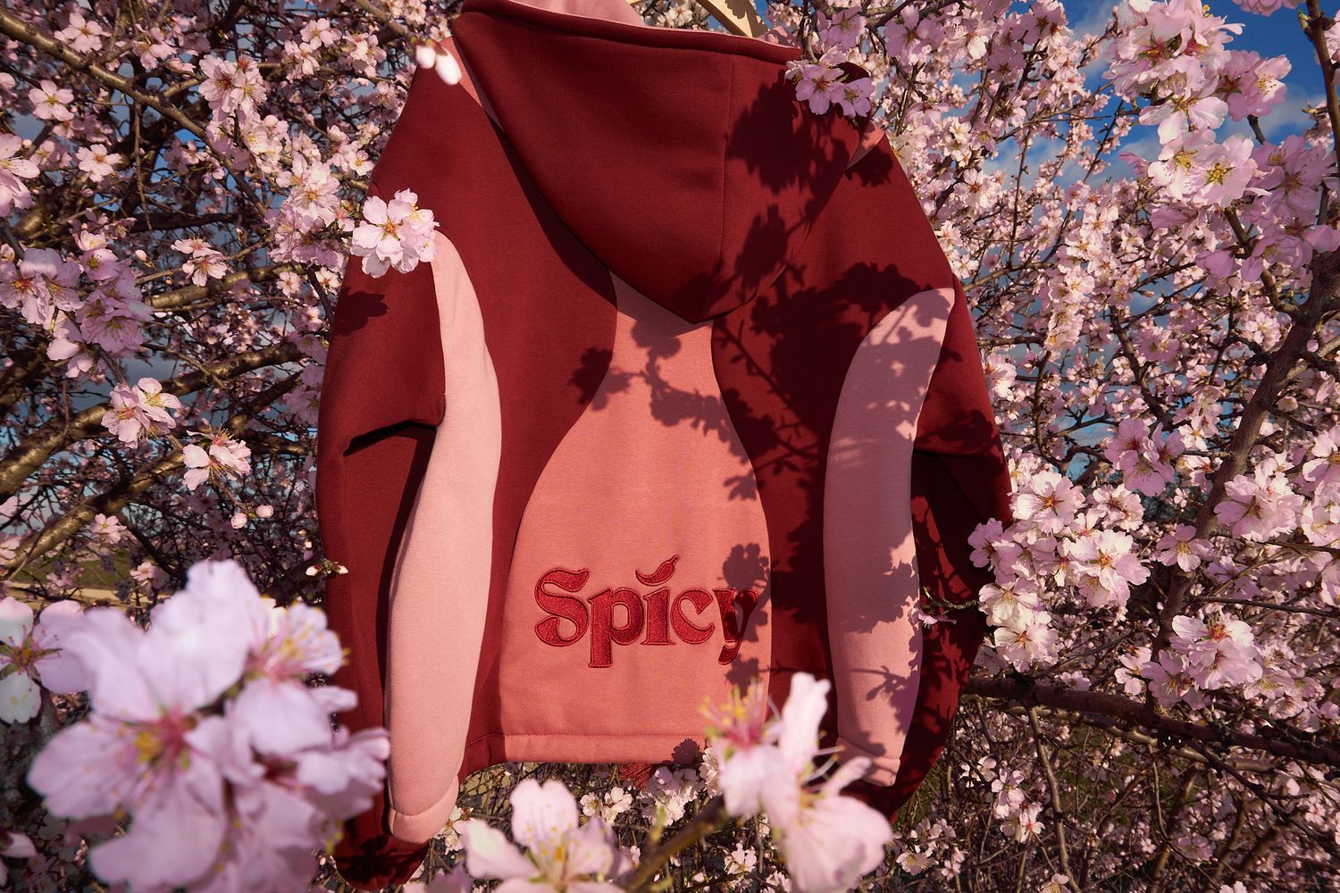 Sudadera Spicy