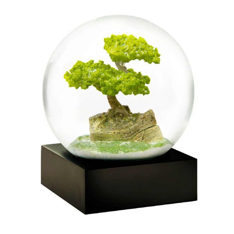 SnowGlobes, Bonsai