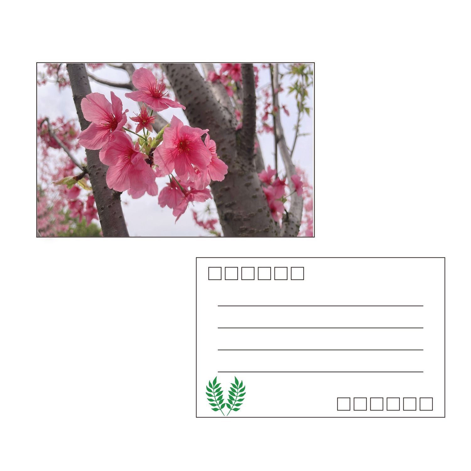 Postal personalizada