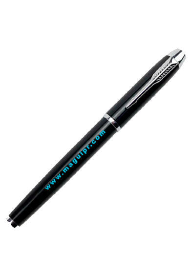 Pluma elegante color negro