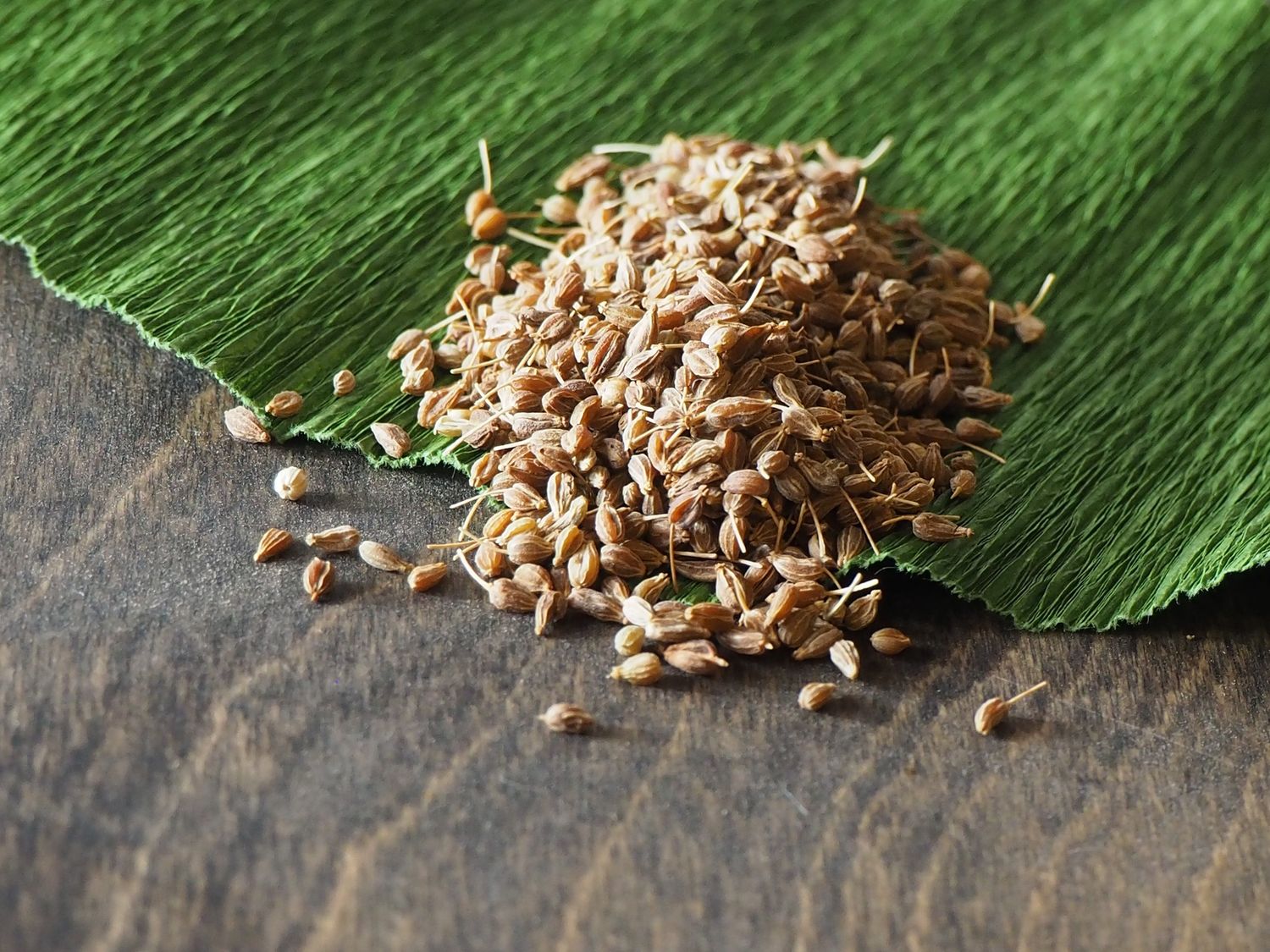 Anise Seed Whole