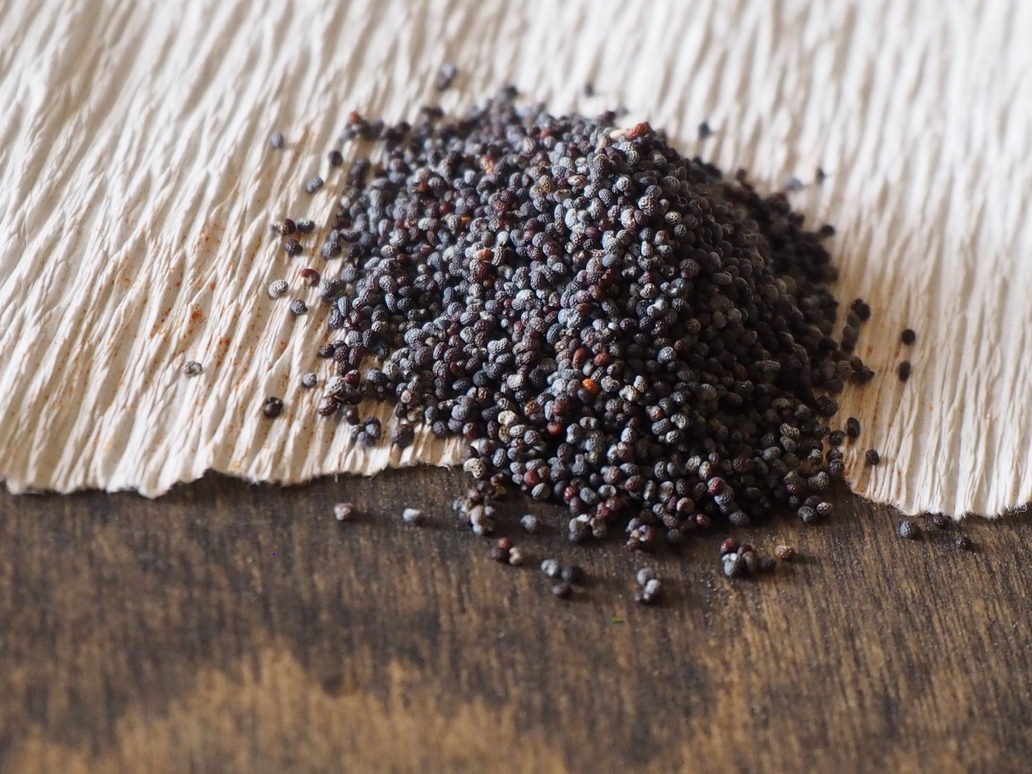Poppy Seeds Blue