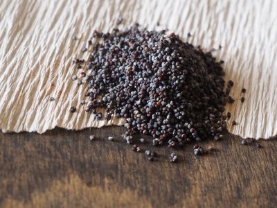 Poppy Seeds Blue