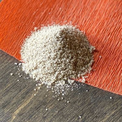 Wild Mushroom Salt