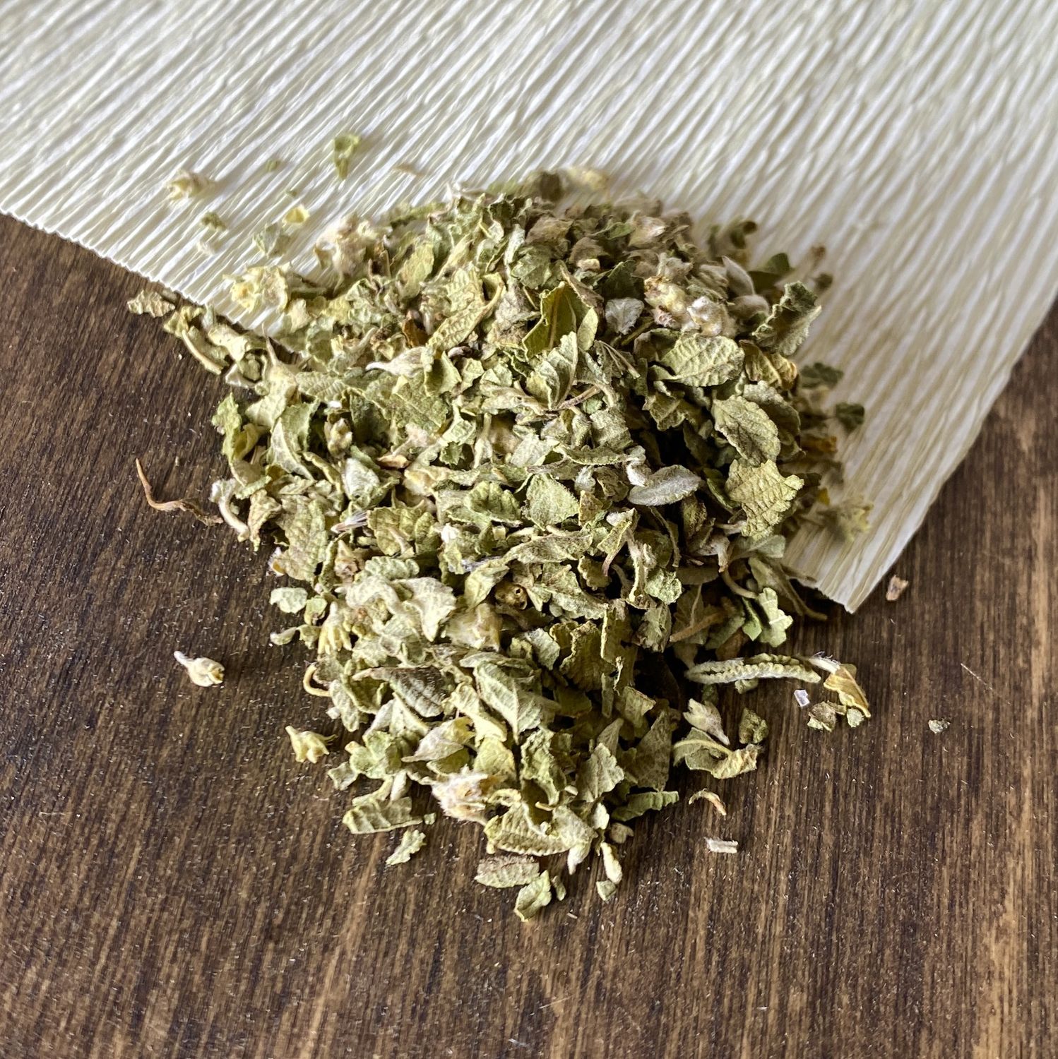 Oregano Mexican