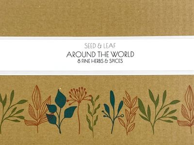 Around The World Collection of 8 Spices &amp; Herbs