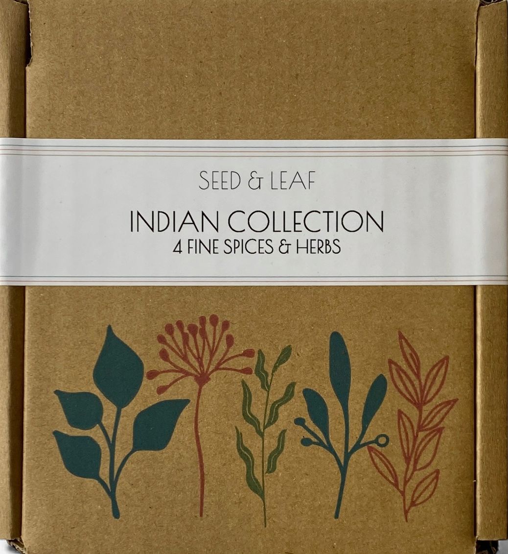 Indian Collection of 4 Spices &amp; Herbs