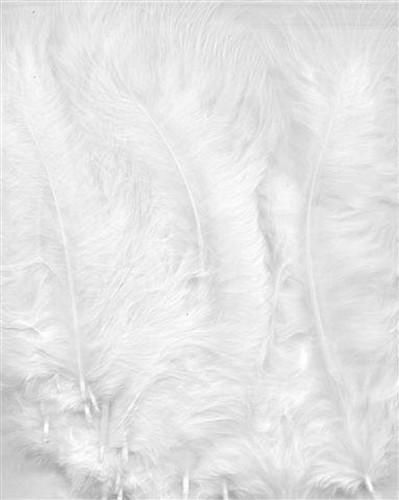 Veren marabou wit 15st