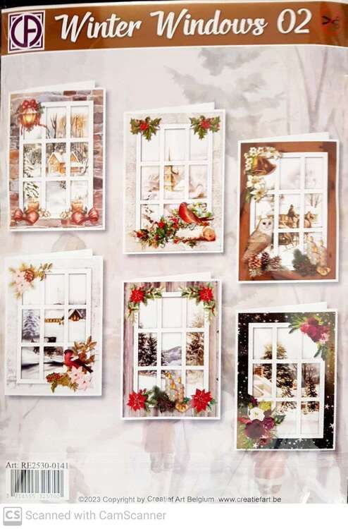 Creatief Winter windows 02