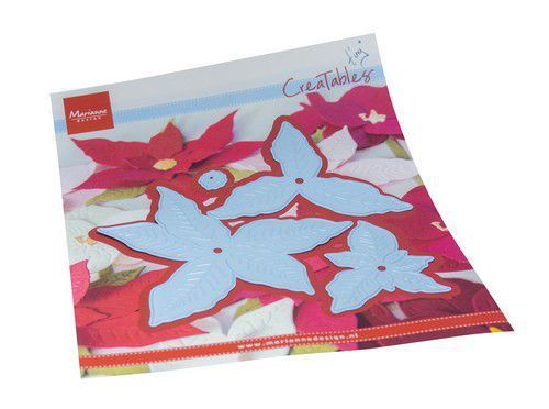 Tiny‘s Poinsettia