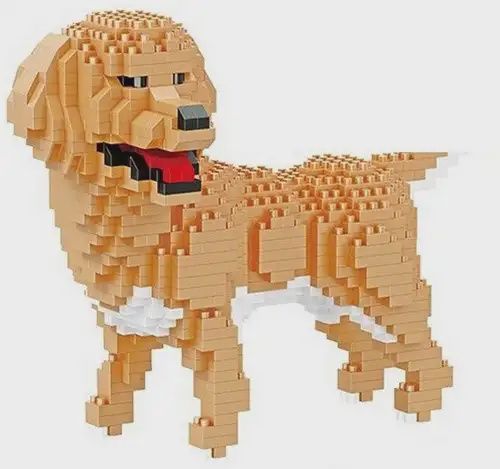 Balody Golden retriever