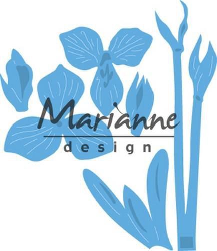 Marianne D creatable amaryllis