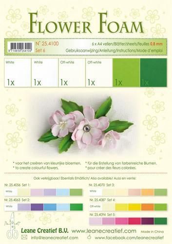 Flower foam set 6