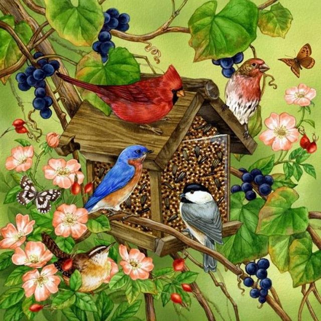 Vogels in vogelhuisje