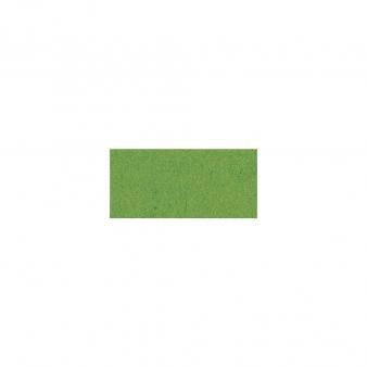Fotokarton 50x70 Grasgroen