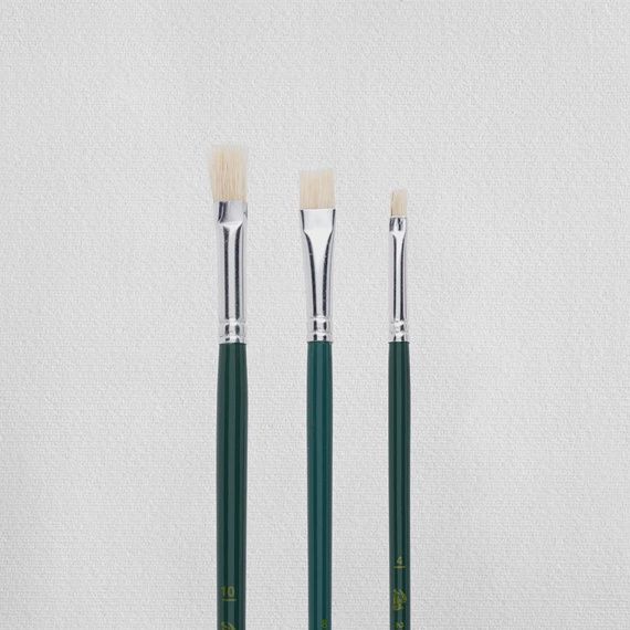 Olie en/of Acryl Penselen Set