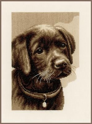 Telpakket labrador pup