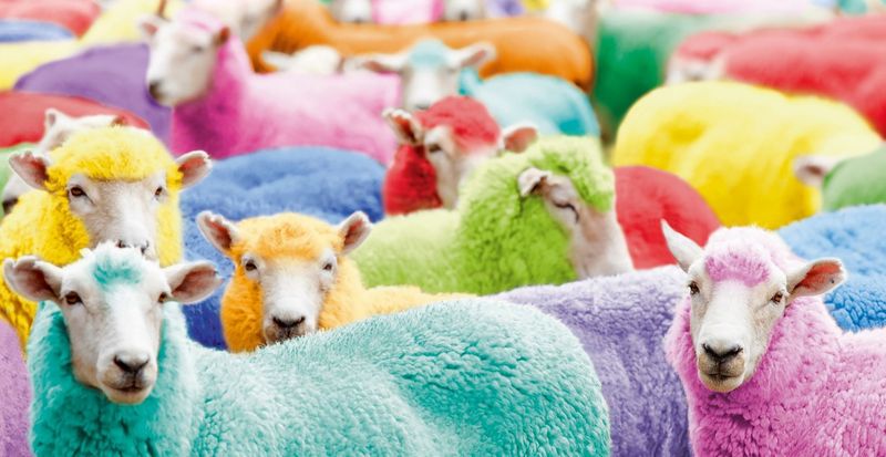 Cool wool Baby