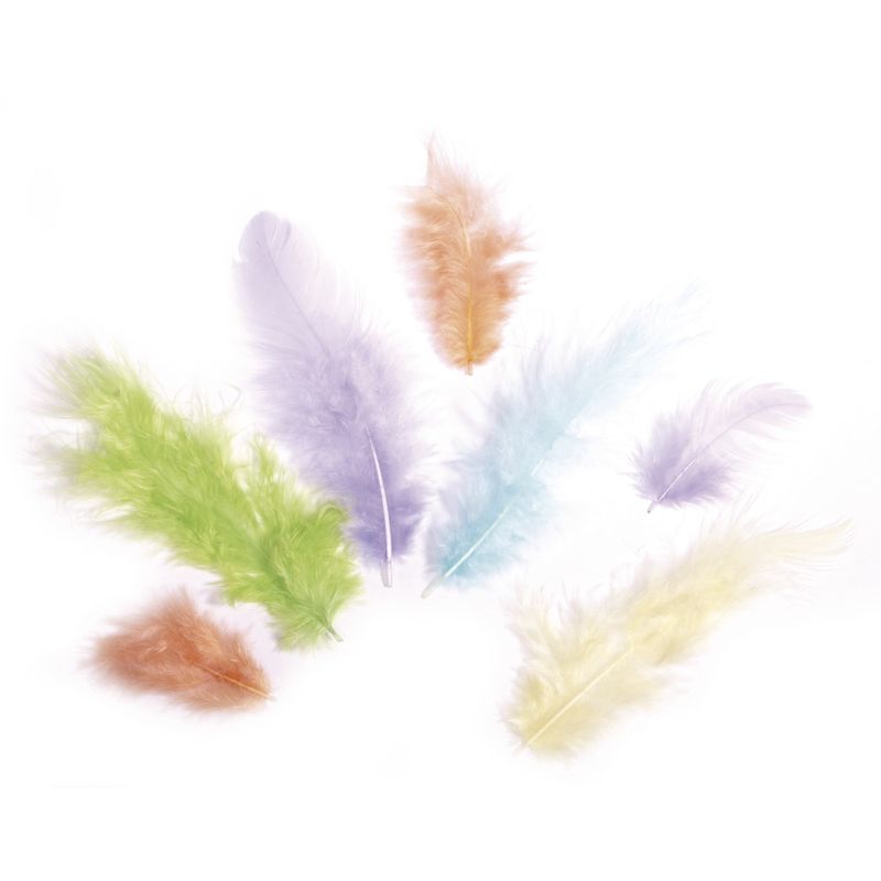 Mengeling van veren assorti